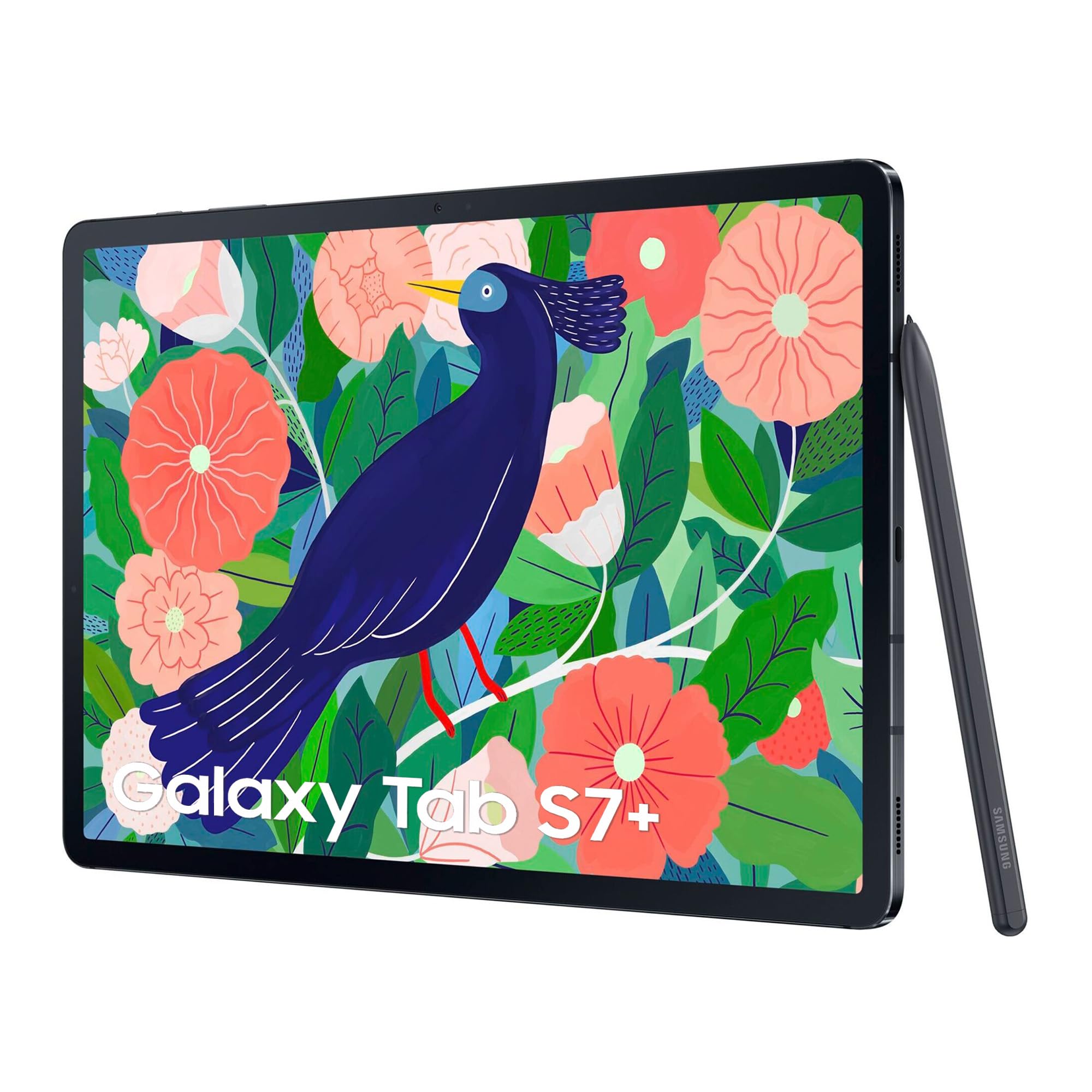 Samsung Galaxy Tab S7+
