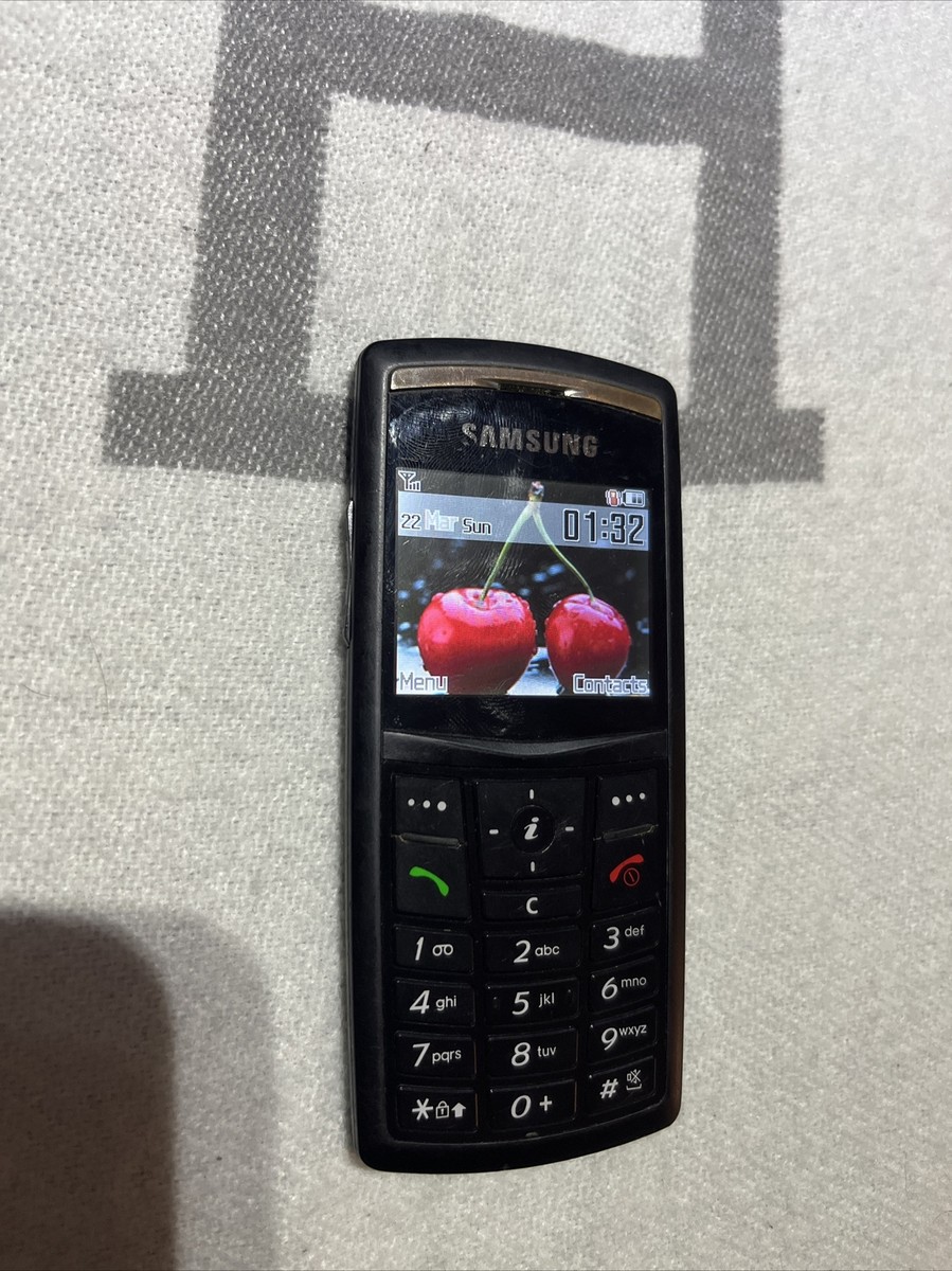 Samsung X820